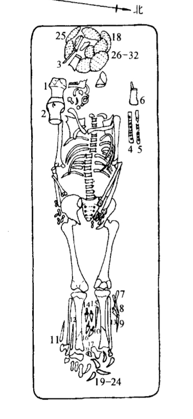 亚洲精品久久久久中文第一幕