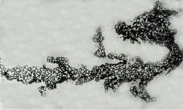 亚洲精品久久久久中文第一幕