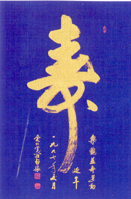 亚洲精品久久久久中文第一幕