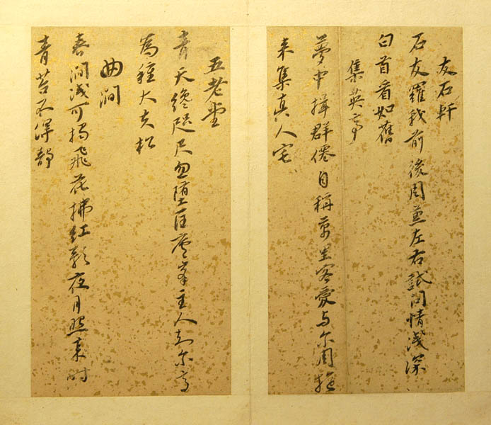 亚洲精品久久久久中文第一幕