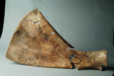 亚洲精品久久久久中文第一幕