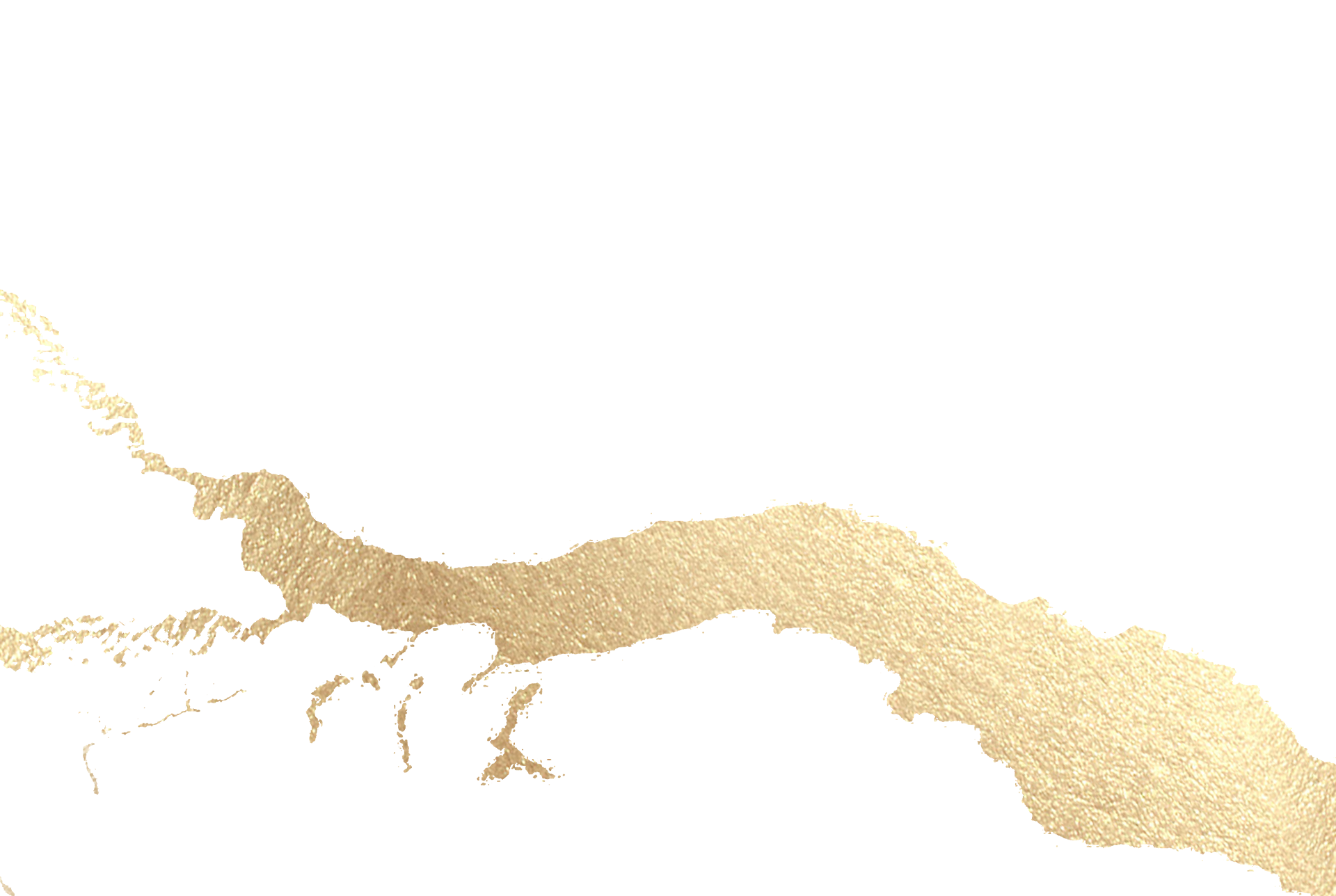 亚洲精品久久久久中文第一幕