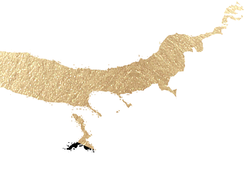 亚洲精品久久久久中文第一幕