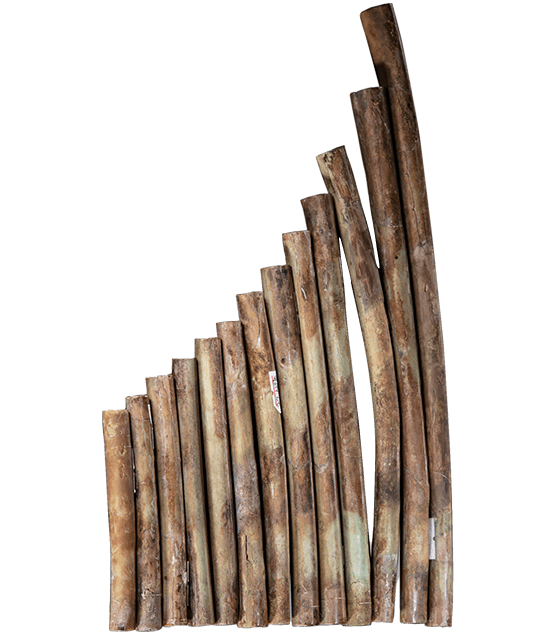 亚洲精品久久久久中文第一幕