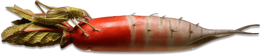 亚洲精品久久久久中文第一幕