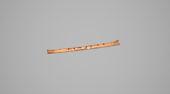 亚洲精品久久久久中文第一幕