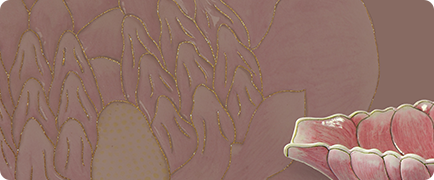 亚洲精品久久久久中文第一幕