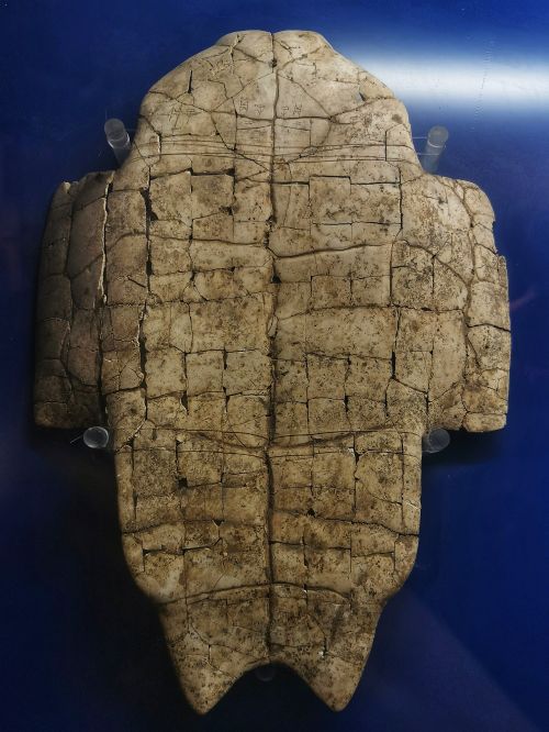 商代带卜辞甲骨 殷墟博物苑藏.jpg