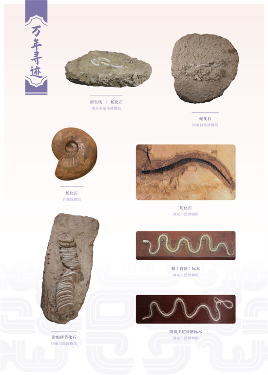 图片2 - 副本.jpg