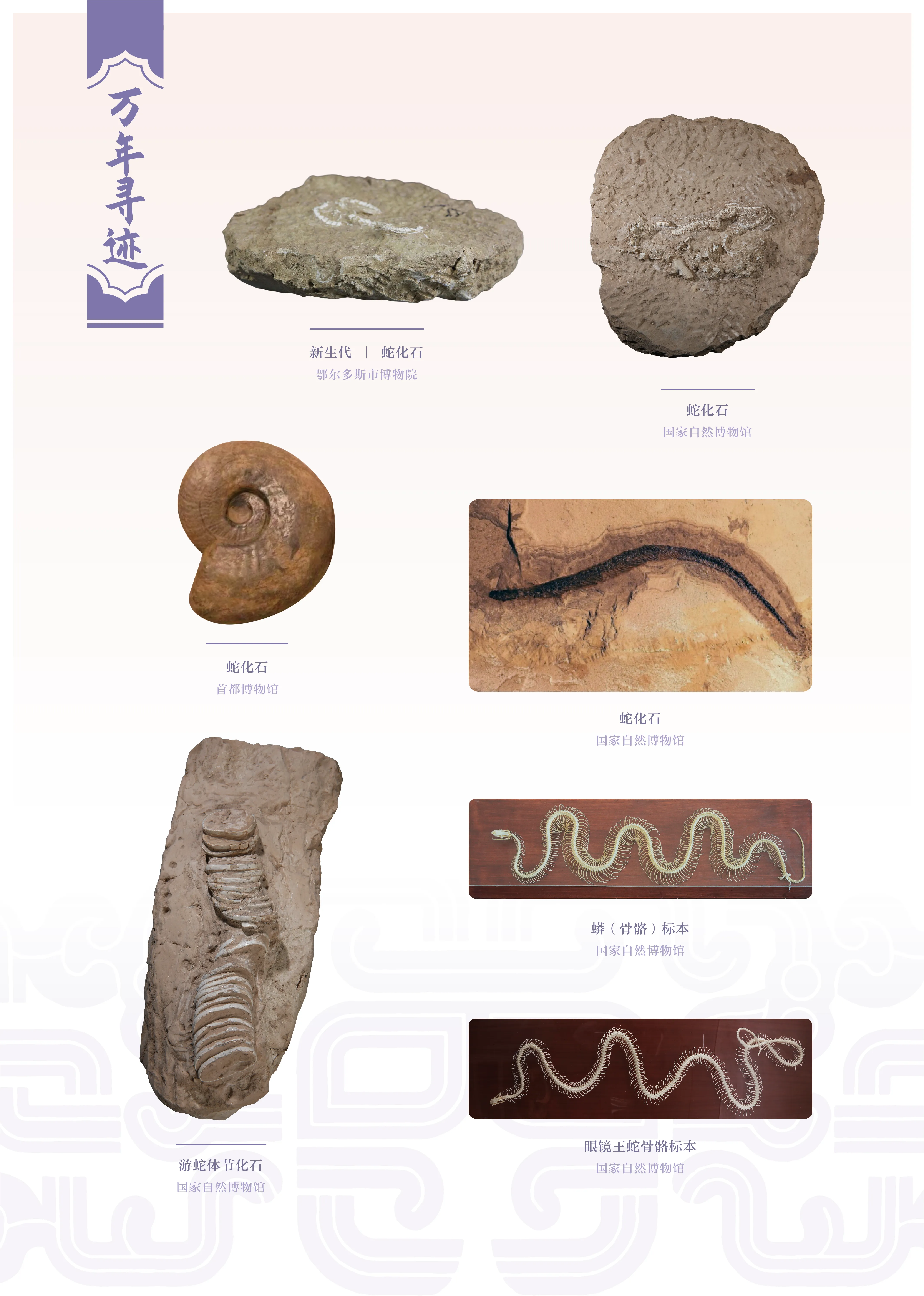 亚洲精品久久久久中文第一幕