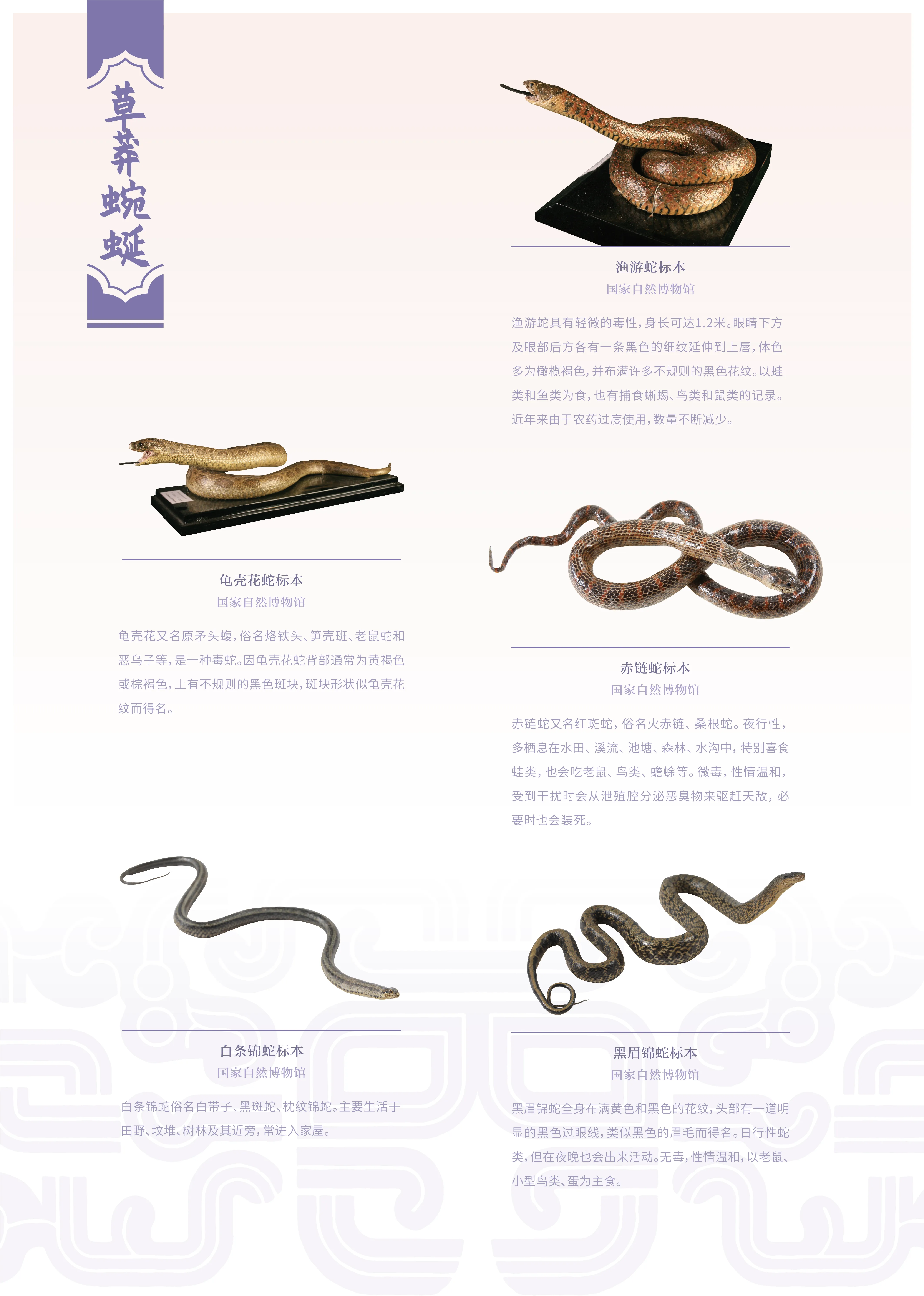 亚洲精品久久久久中文第一幕