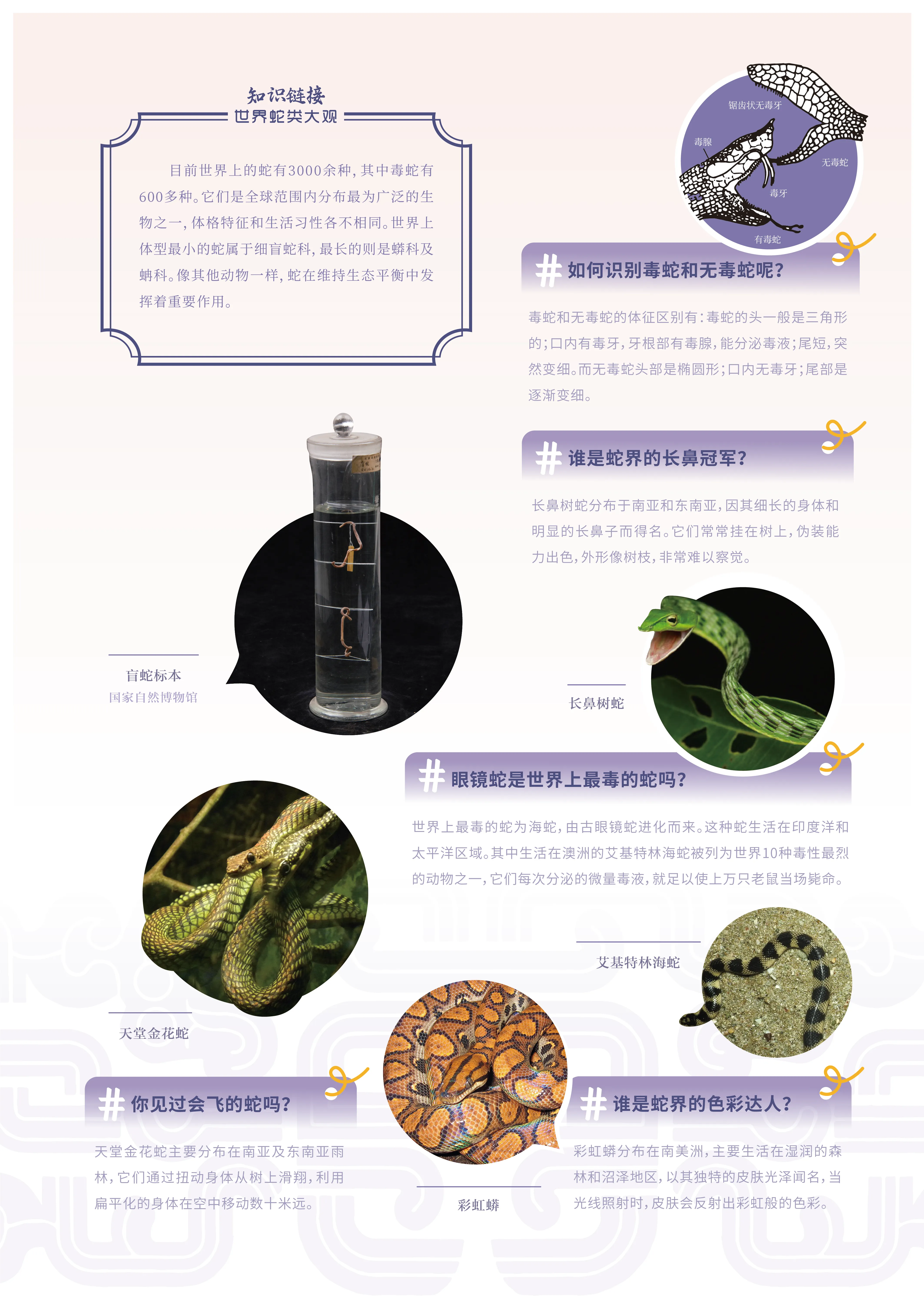 亚洲精品久久久久中文第一幕