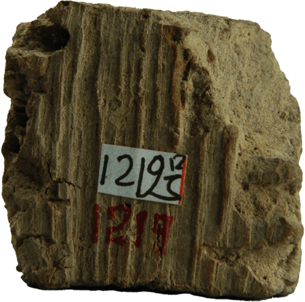 亚洲精品久久久久中文第一幕