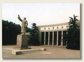 亚洲精品久久久久中文第一幕