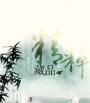 亚洲精品久久久久中文第一幕