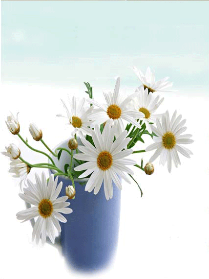 亚洲精品久久久久中文第一幕